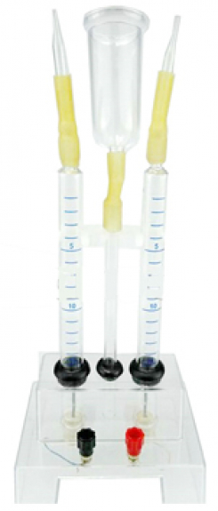 Hofmana aparāts 30ml.