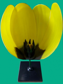 Zieda modelis, 3 daļas