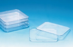 Petri plates kvadrātveidas, PS