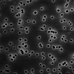 Polikarbonāta membrānas filtri