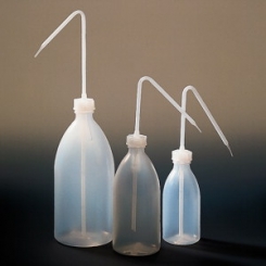 Skalotnes ar šauru kaklu, PE