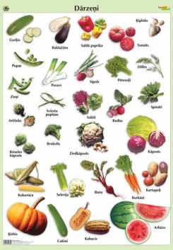 Dārzeņi, 70x100 cm