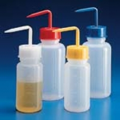 Skalotnes ar platu kaklu