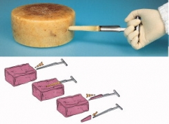 Iegremdēšanas urbis