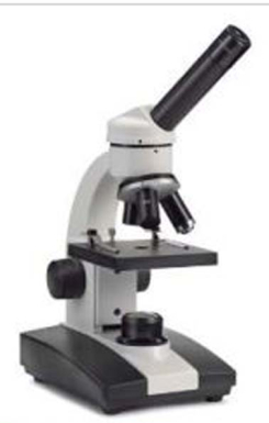 Novex Junior LED microscops.